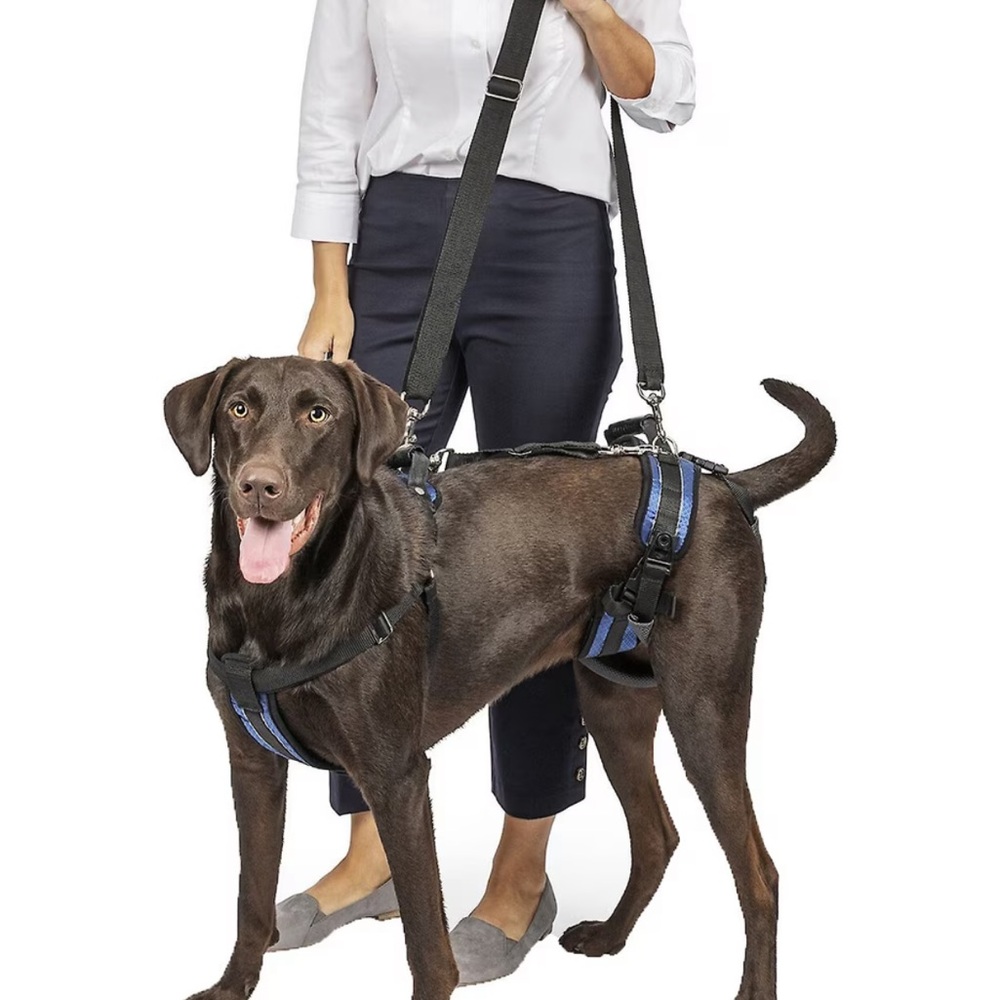PetSafe Black and Blue Dog Support Harness